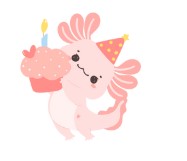 HBD Axolotl   